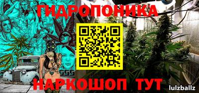 мдма Гатчина